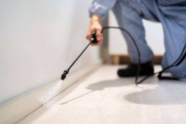 Licensed Termite Control service in Cleveland, NC - Nex Pest Control