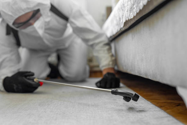 Professional Termite Control technician working in Cleveland, NC