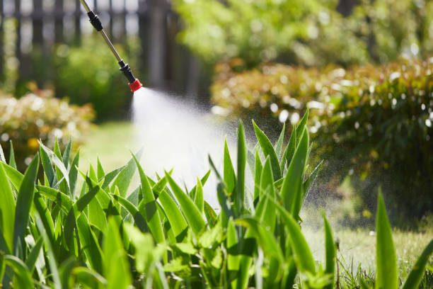 24/7 Emergency Termite Control experts in Cleveland, NC