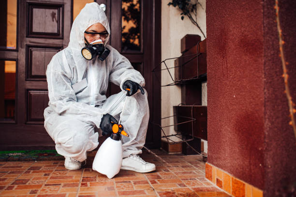 Reliable Termite Control contractor in Cleveland, NC by Nex Pest Control