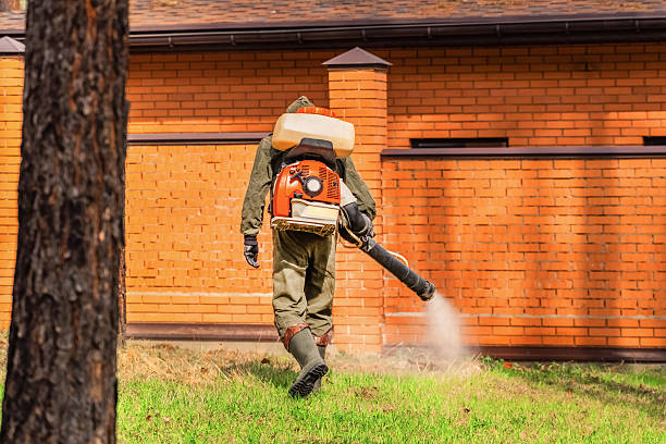 Top rated local Termite Control specialists in Cleveland, NC
